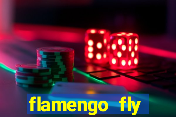 flamengo fly emirates ultimas noticias